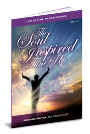 Soul Inspired Tune-up booklet web image 4-26-11