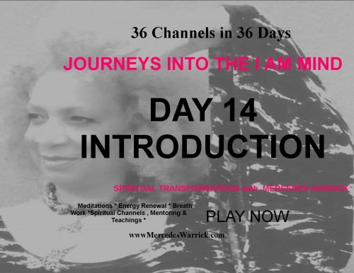 36 Channels Day 14